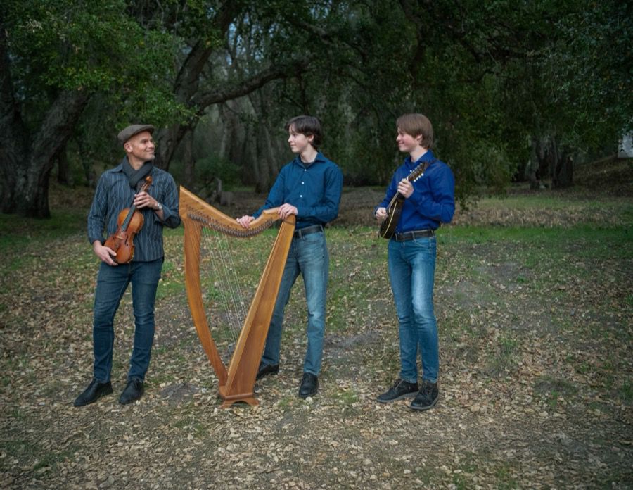 The Weeds performing outdoors